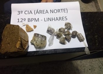 Cadela de Policial descobre droga enquanto passeava