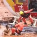 Governo de Minas confirma 9 mortos e cerca 300 desaparecidos em Brumadinho