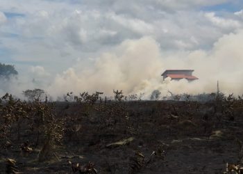 Bombeiros combate dois incêndios a vegetação em Linhares.Veja vídeos