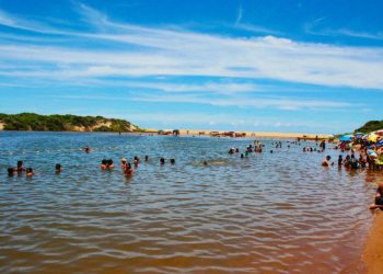 URGENTE – Banhista pula, bate cabeça em tronco de árvore e sofre traumatismo craniano