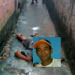 Identificado homem que foi morto na madruga de ontem (5/02)