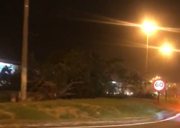 Arvores caem na BR 101 e interdita perímetro urbano em Linhares; vídeo