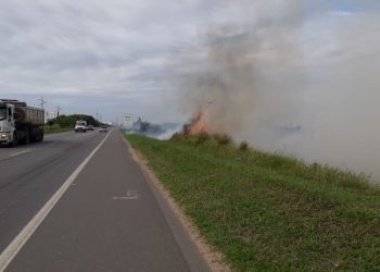 Fogo atinge vegetação na BR 101 em Linhares; Veja vídeo