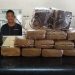 Força Tática apreende mais de 13 Kg de maconha em bairro de Linhares