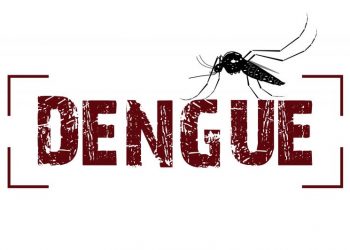 Casos de dengue crescem 264% no Brasil; em Janeiro Linhares registrou mais de 3 casos por dia