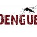 Casos de dengue crescem 264% no Brasil; em Janeiro Linhares registrou mais de 3 casos por dia