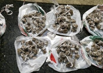 “ Pit Bull” e mais dois são detidos e mais de 100 buchas de maconha são apreendidas