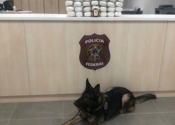 Cerca de 34 quilos de haxixe são encontrados em malas no aeroporto