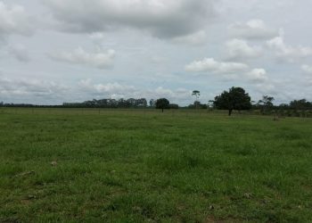 Vende-se chácaras em ótima localização