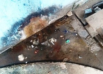 ABSURDO –  Possível criadouro do mosquito da dengue é encontrado na porta do PS infantil do HGL