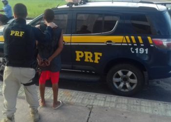 PRF apreende arma, munição e pássaro silvestre na BR 101 em Linhares