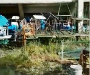 Vizinhos de Escola em Linhares reclamam de terreno sujo e temem mosquito Aedes aegypti