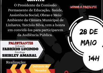 AUDIÊNCIA PÚBLICA: Diga não à violência contra a mulher será realizada em linhares