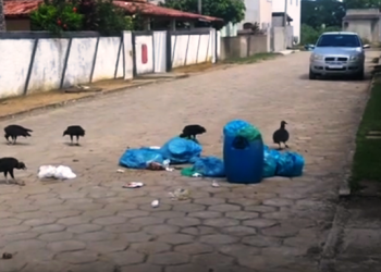 Moradores de Bebedouro reclamam da forma de como é feita a coleta do lixo; Vídeo