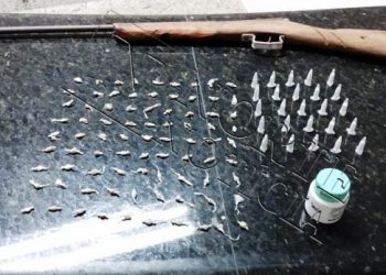 Policia Militar apreende mais de 80 pedras de crack, mais de 25 pinos de cocaína e arma em Rio Quartel