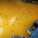 Peixes agonizam no Rio Pequeno; Veja vídeo