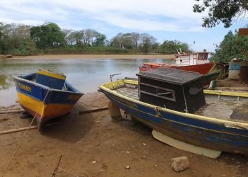 Anvisa atesta segurança do consumo do pescado do Rio Doce