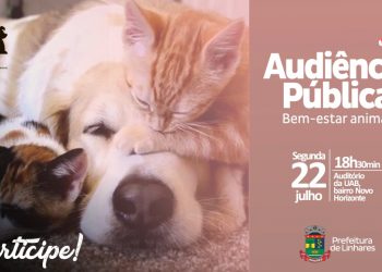Prefeitura realiza audiência pública sobre bem-estar e proteção de animais