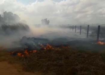 Bombeiros de Linhares atuam 18 horas em incêndio para não atingir Mata Nativa