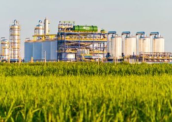 Redução de imposto sobre etanol pode criar mil empregos