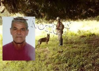 MISTÉRIO – Entra no terceiro dia as buscas por idoso em mata de Povoação