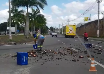 Carga de cerveja cai de caminhão e deixa trânsito lento na BR 101 em Linhares; vídeo