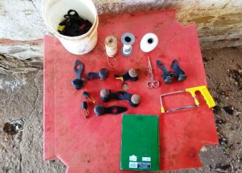 Polícia Ambiental fecha rinha de galo no interior do Estado