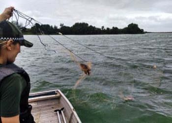 EM UMA SEMANA – Mais de 8 mil metros de redes são apreendidas em lagos de Linhares