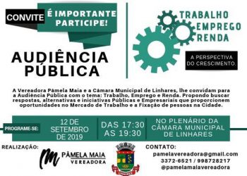 Audiência pública discute alternativas de trabalho, emprego e renda em Linhares