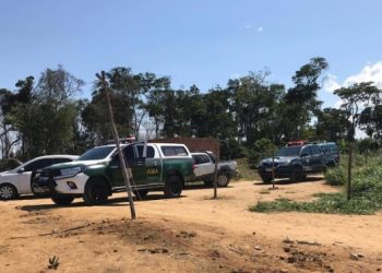 Operação Mata Atlântica em Pé flagra 65 hectares desmatados em Linhares e mais dois municípios capixabas