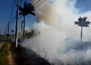 Tarde de quinta-feira com vários incêndios em vegetações em Linhares; Vídeos