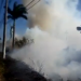 Tarde de quinta-feira com vários incêndios em vegetações em Linhares; Vídeos