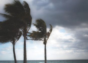 Veja como fica o tempo no primeiro dia da primavera