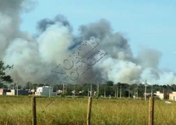 EXCLUSIVO – Incêndio atinge a Floresta Nacional de Goytacazes, em Linhares; VÍDEO