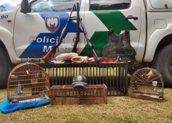 Armas, munições, animais silvestres e armadilhas são apreendidos pela PM Ambiental