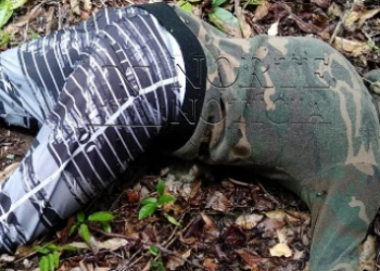 Corpo de homem é encontrado às margens da BR 101