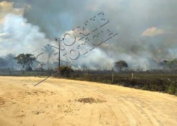 Domingo com 3 incêndios de grandes proporções em áreas de vegetações em Linhares