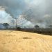 Domingo com 3 incêndios de grandes proporções em áreas de vegetações em Linhares