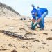 Quase 250 quilos de fragmentos de óleo são recolhidos das praias de Linhares
