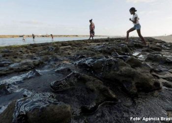 Óleo atinge local de desova de tartarugas no Espírito Santo