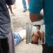 Menino de 15 anos é baleado em Sooretama, não resiste e morre em hospital de Linhares