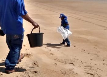 Fragmentos de óleo são localizados na praia do Pontal do Ipiranga
