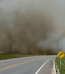 VIDEOS – Incêndio de grandes proporções atinge área de vegetação na estrada de Pontal