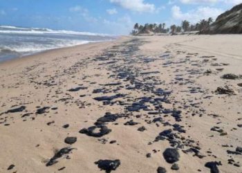 Pescadores de Linhares e mais 7 municípios do ES atingidos por mancha de óleo  começaram a receber  auxílio do Governo