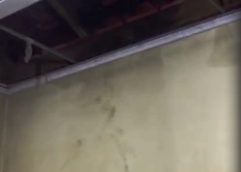 VÍDEO – Bandidos levam terror a família no interior de Sooretama