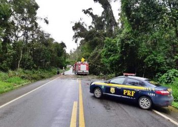 Vai viajar? Atenção para interdições em estradas do Espírito Santo provadas pelas chuvas