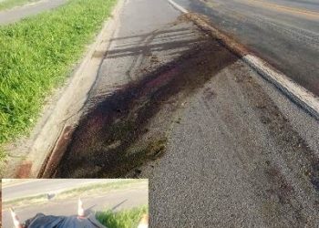 Dupla rouba automóvel e mata cavalo durante fuga