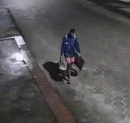 VÍDEO – Marcenaria em Linhares é arrombada e todas as ferramentas são furtadas