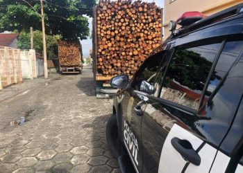 Polícia prende 15 pessoas em operação contra furto de madeira em Conceição da Barra