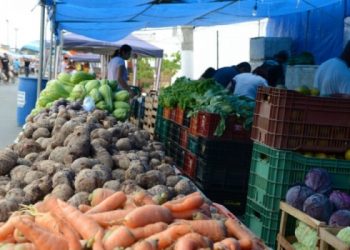 Feiras livres do Novo Horizonte e Araçá acontecem dentro do Parque de Exposição a partir de hoje
